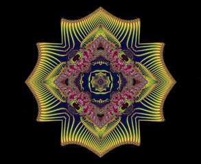 fractal flower